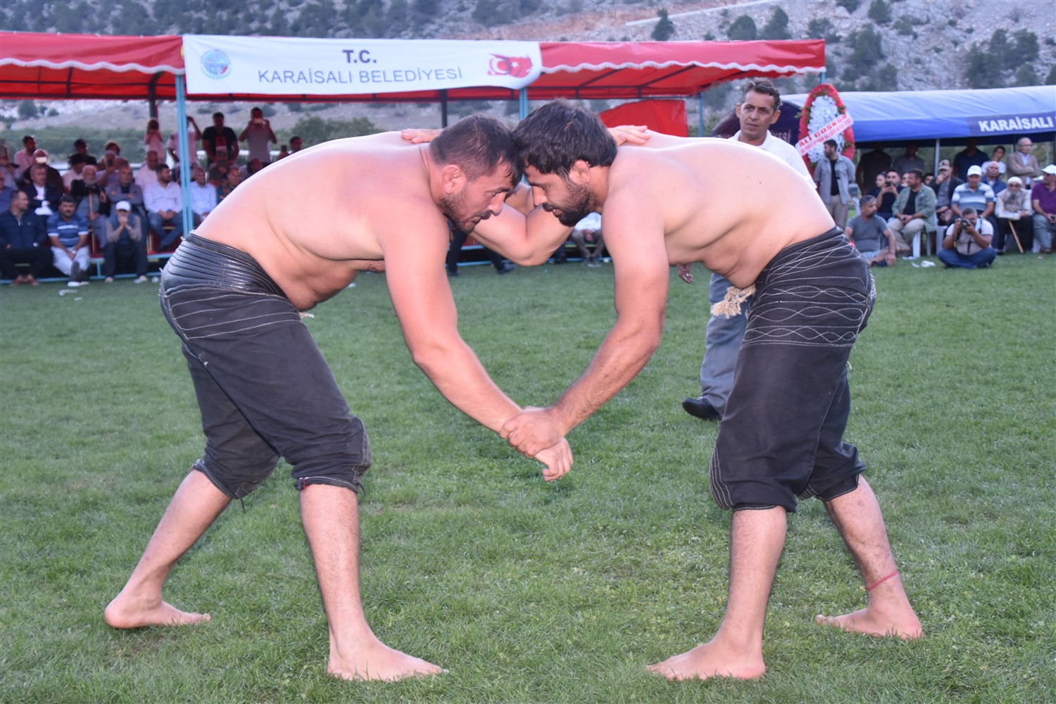 Kizildag guresleri Cingiz Zingan